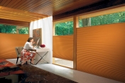 Cell shades 228