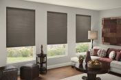 Cell shades 229