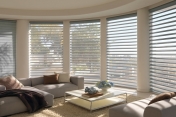 Hunter Douglas Pirouette Shades 273