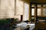 Hunter Douglas Pirouette Shades 275