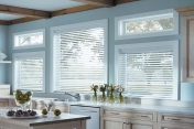 Mini Blinds 313
