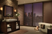 Mini Blinds 317