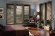 Mini Blinds 318