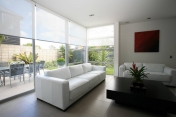 Roller Shades 252