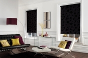 Roller Shades 245