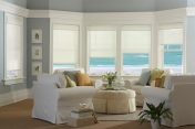 Roller Shades 249
