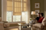 Roller Shades 251