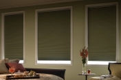 Blackout Shades 237
