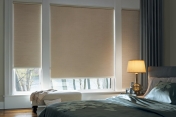 Blackout Shades 239