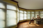 Silhouette by Hunter Douglas 335