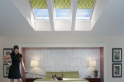 Skylight shades 418