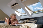 Skylight shades 419