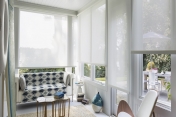 Solar Shades 224