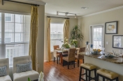 Wood Blinds 300
