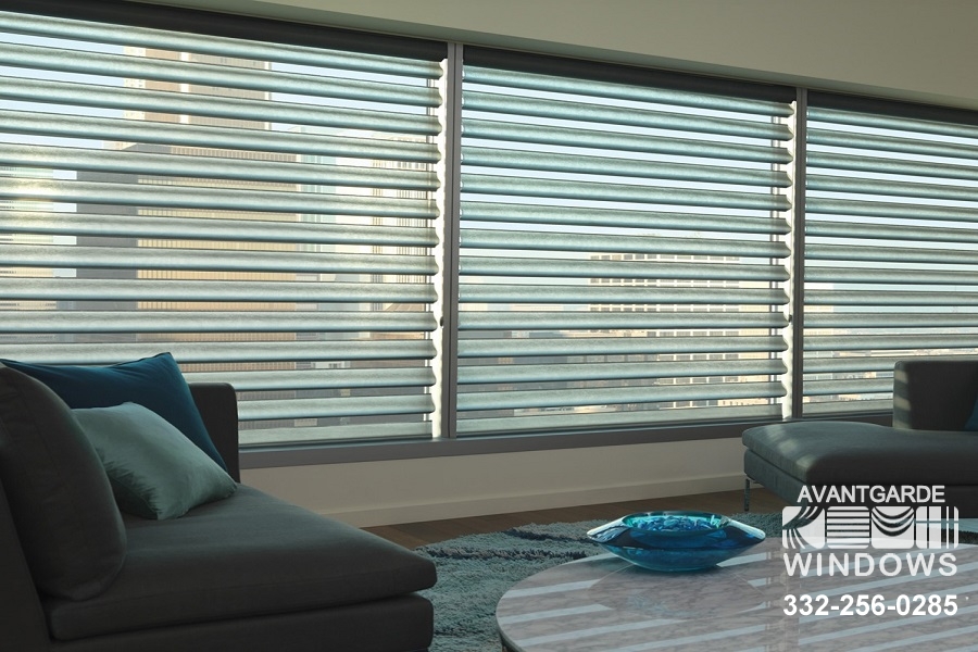 Hunter Douglas Pirouette Shades