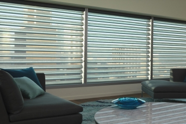 Hunter Douglas Pirouette Shades