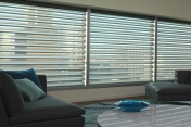 Hunter Douglas Pirouette Shades