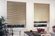 Mini Blinds