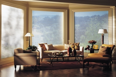 Silhouette by Hunter Douglas